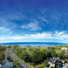 The University of Bridgeport